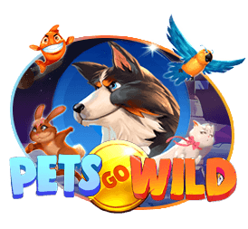 pets-go-wild 